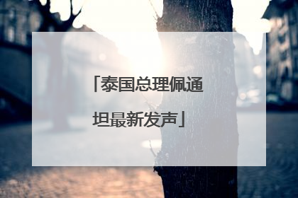 泰国总理佩通坦最新发声